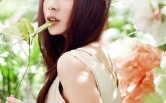 男生女生金版封面